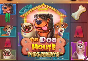 NOVOMATIC - игровой автомат онлайн от Various с RTP 97.95%